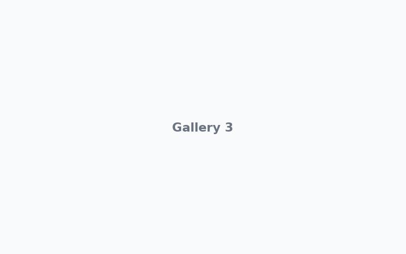 Gallery 3